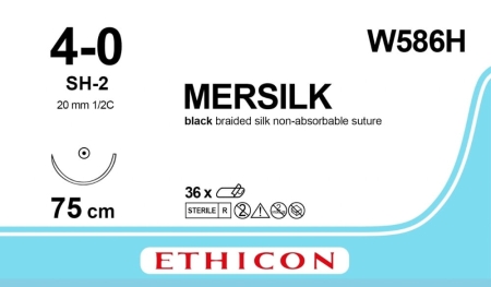 W586H.jpg