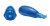 acapella_Blue_combined_highres.jpg